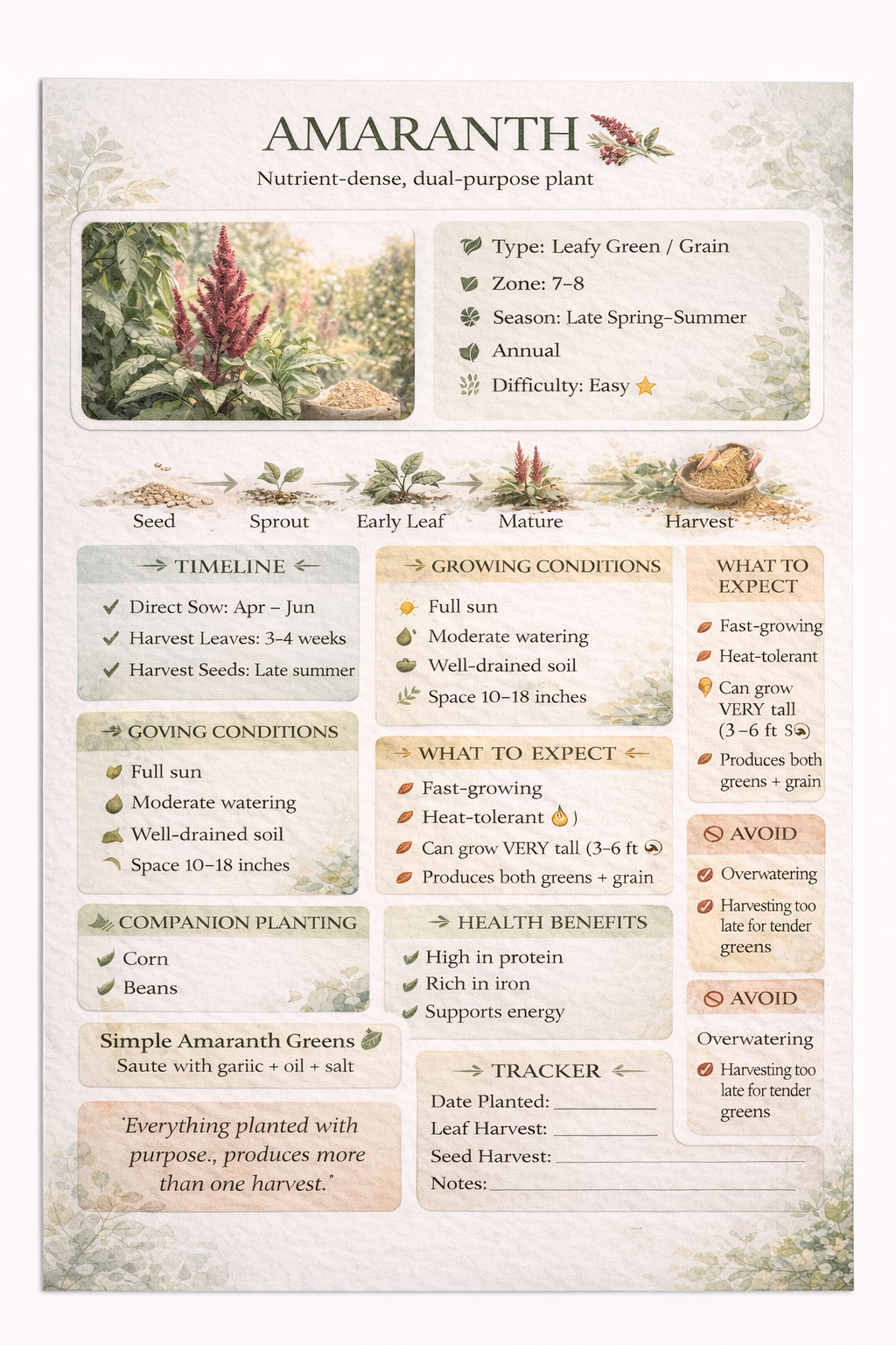 Amaranth Guide