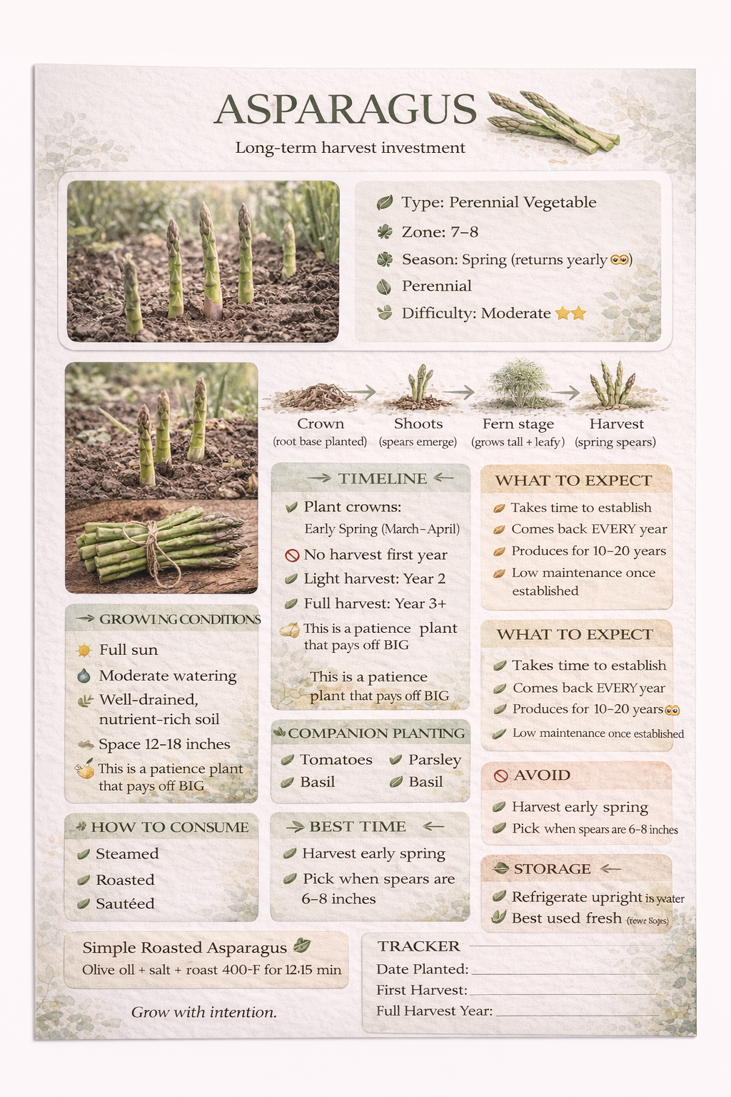 Asparagus Guide
